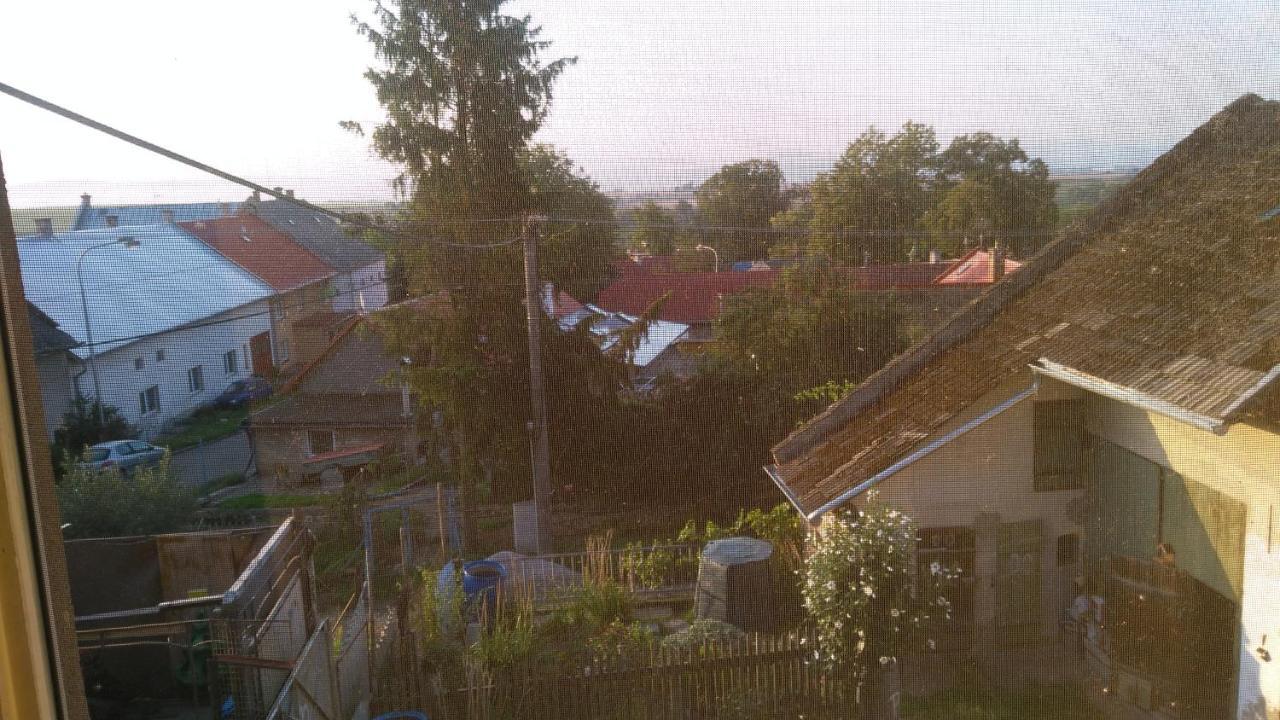 U Babicky A Jeji Psi Smecky Pension Weselitschko Buitenkant foto